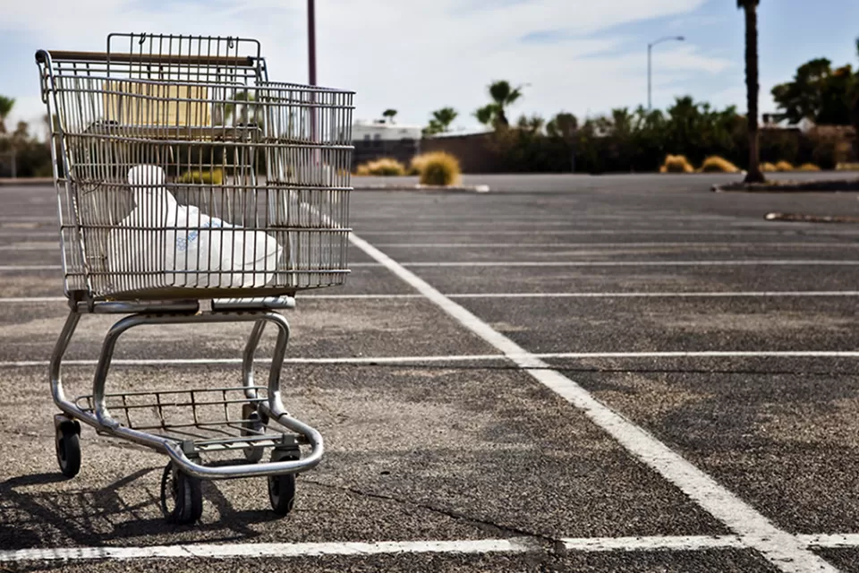 Shopping Cart